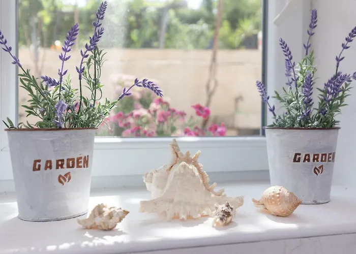 Apartment Marija 218